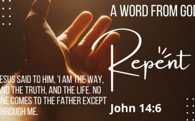 AUTHOR INSIGHTS: WALK WITH GOD: REPENT