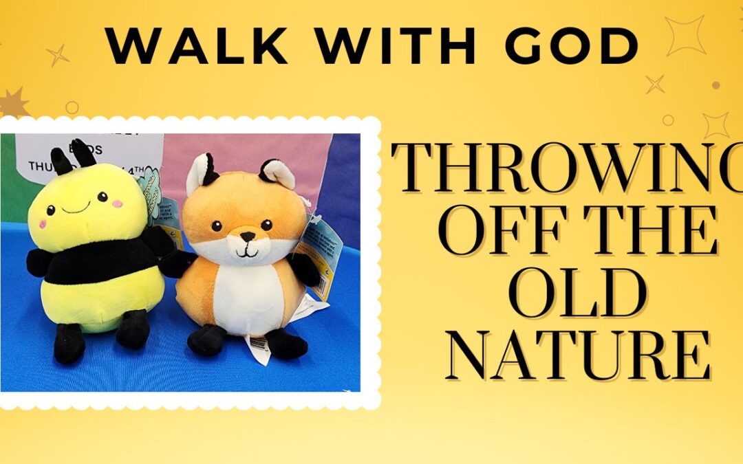 Walk with God Series-Bumblebee: A New Creation in Christ #bornagain #newcreation #bumblebee #fox